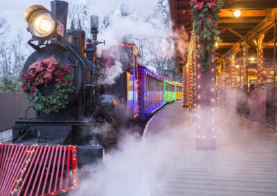a steam engine train pulling into a station