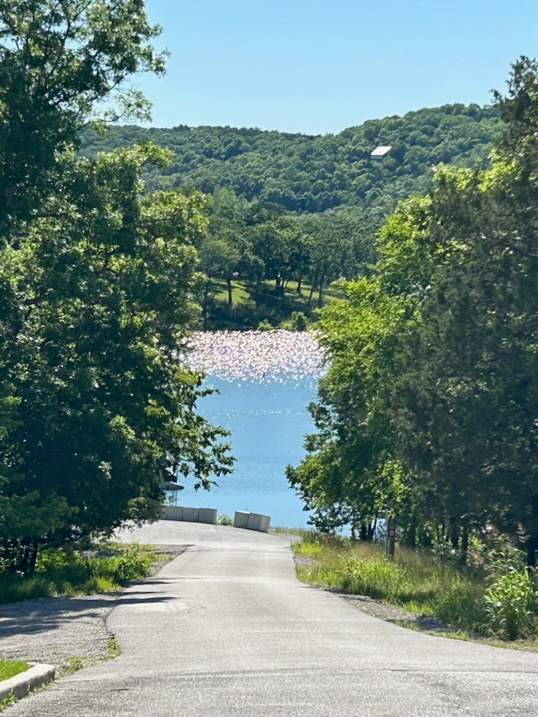 a road with trees on both sides and a lake in the distance